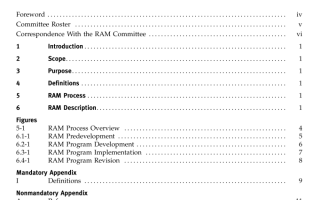 ASME RAM-1:2013 pdf download